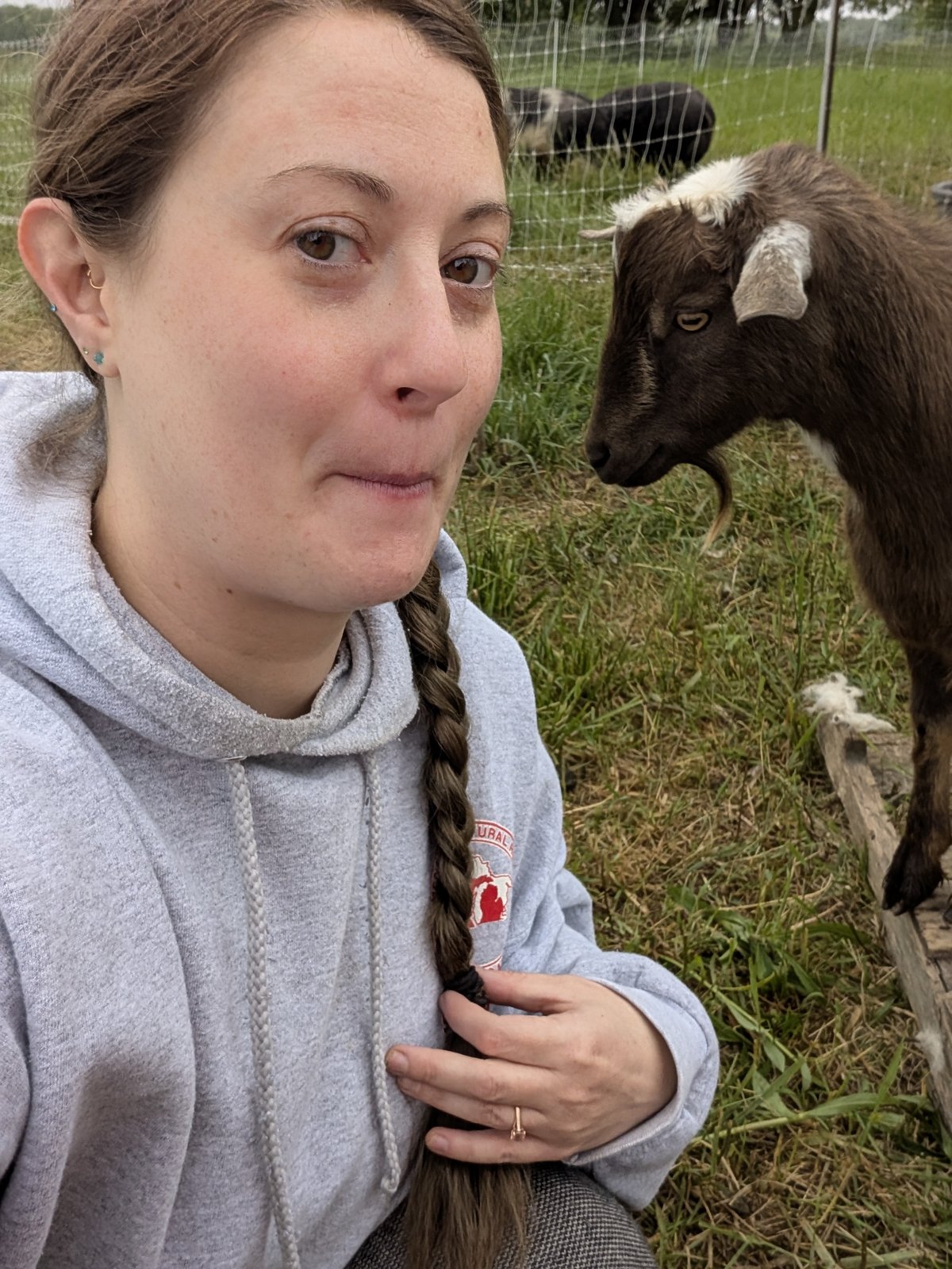 Casey working beside goats in a fenced farm paddock